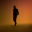alain chamfort